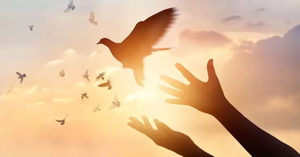 "I will reach out to you soon"