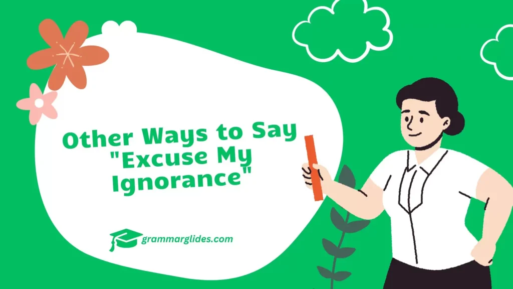 Other Ways to Say "Excuse My Ignorance"