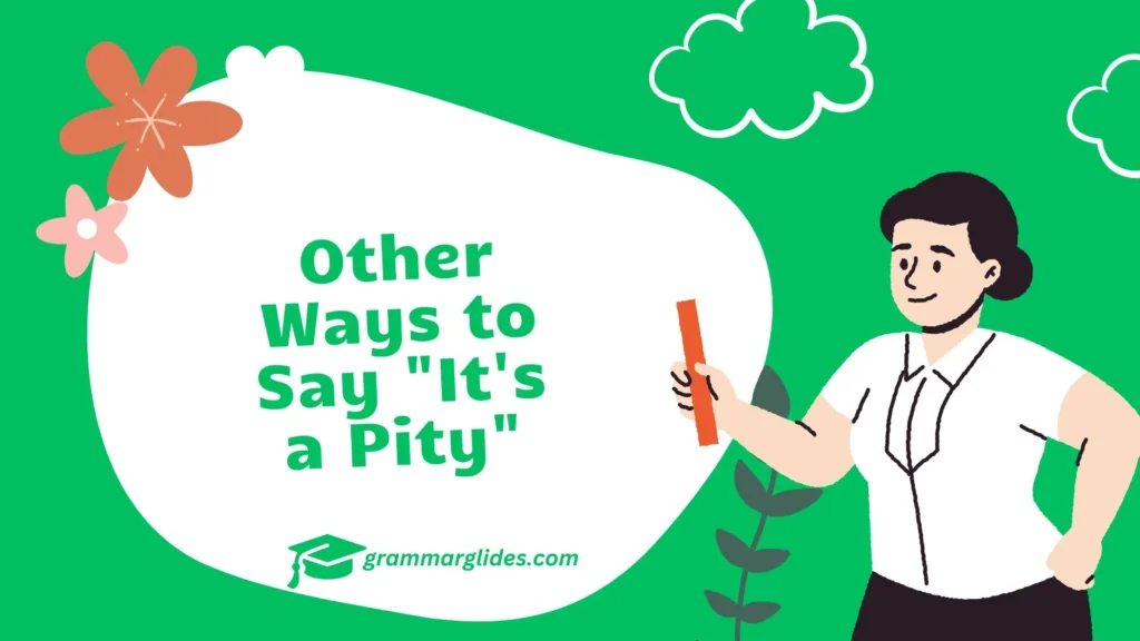 30 Other Ways to Say “It’s a Pity” Other Ways to Say It's a Pity