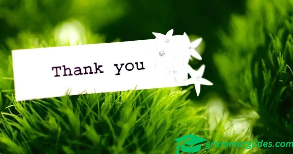 Thank You Enough