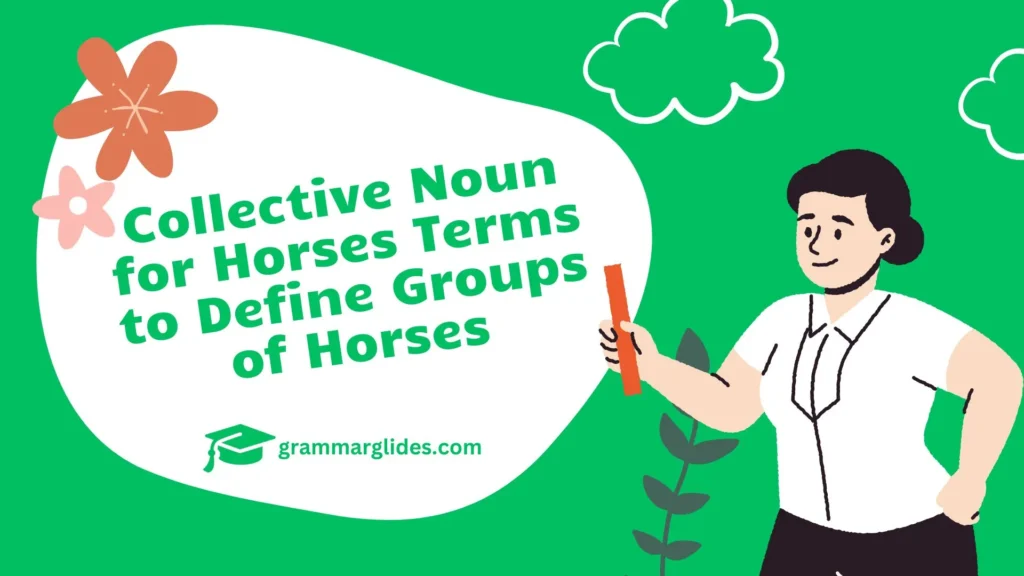 Collective Noun For Horses