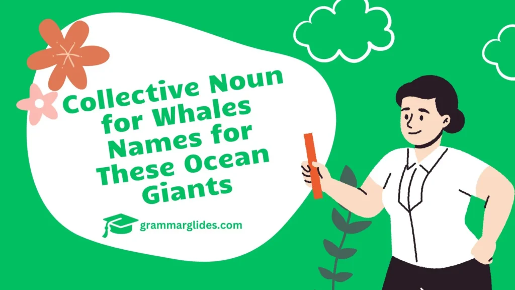 Collective Noun For Whales