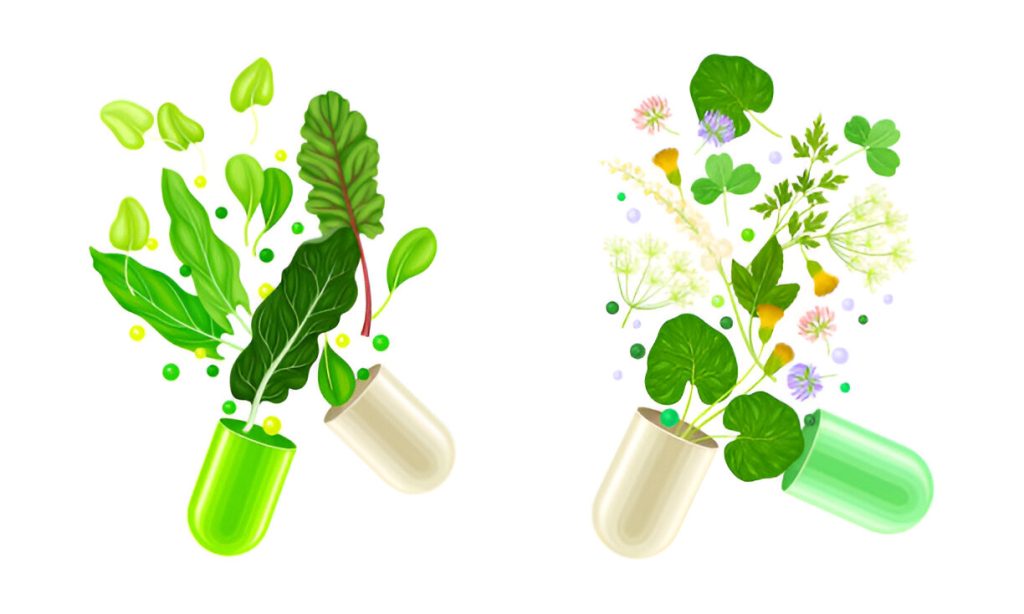 The Rise of Natural Supplements